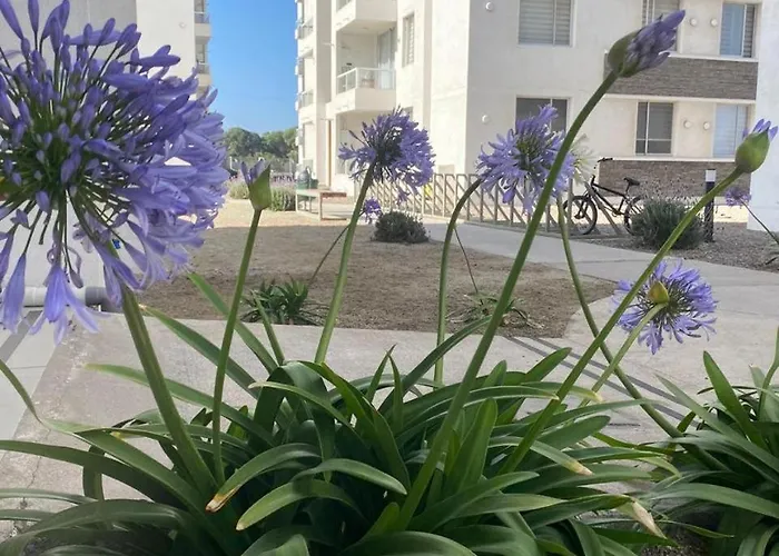 Hermoso Departamento A Pasos De Avenida Del Mar